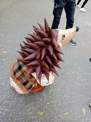 День знаний с библиотекой